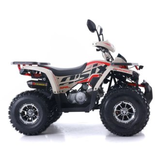 Quad ASIX FOURCRAFT 125 4T 3+R półautomat piaskowy